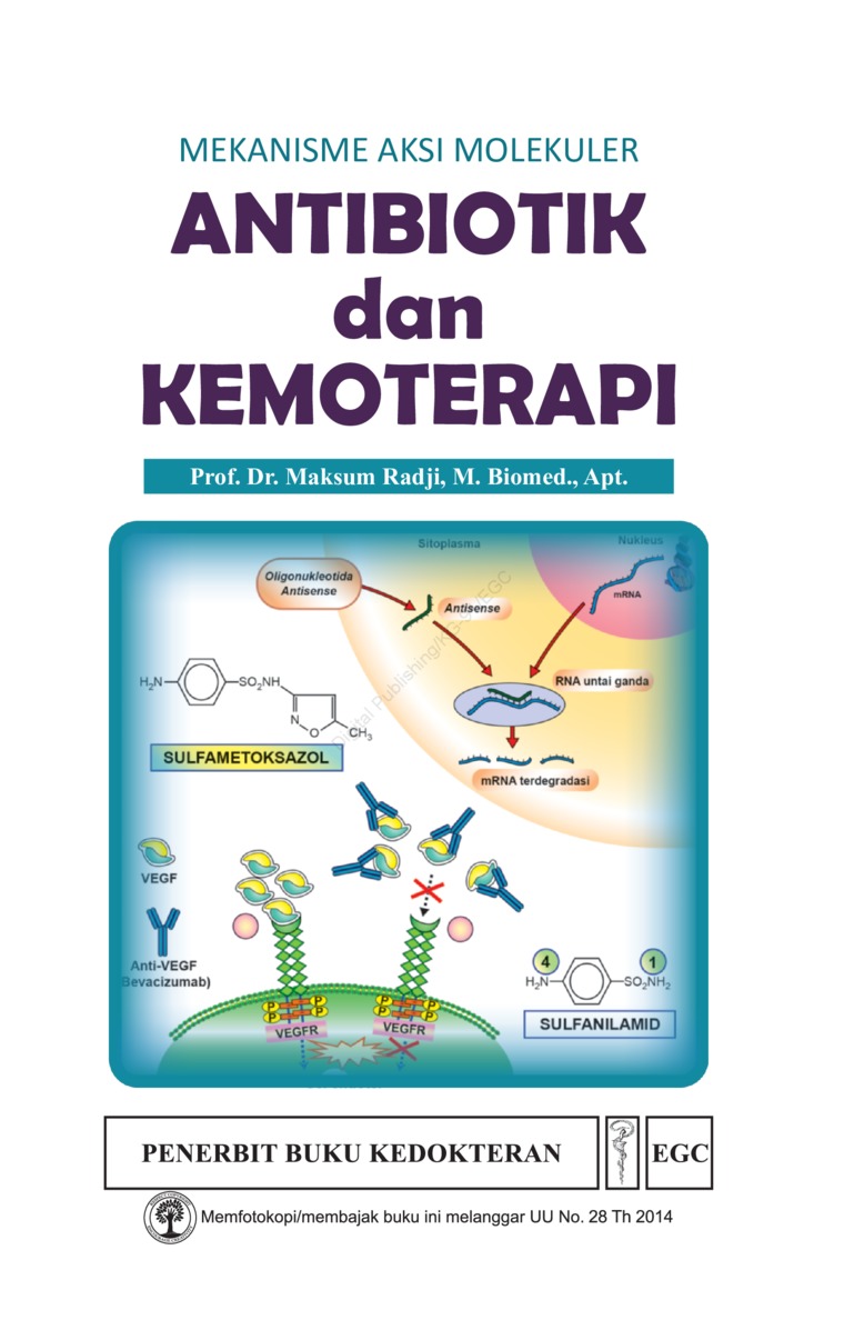 Mekanisme Aksi Molekuler Antibiotik & Kemoterapi